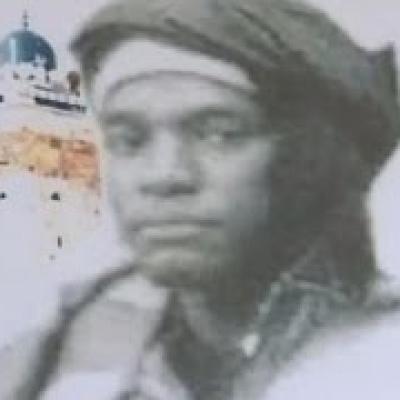 Album des petits fils